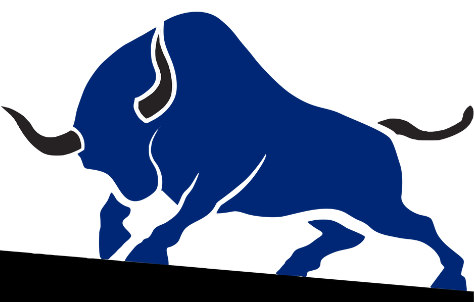 Fuerza Toro LLC